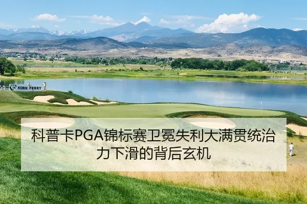 ke-pu-ka-jin-biao-sai-wei-mian-shi-li-da-man-guan-tong-zhi-li-xia-hua-de-bei-hou-xuan-ji-2-423.jpg
